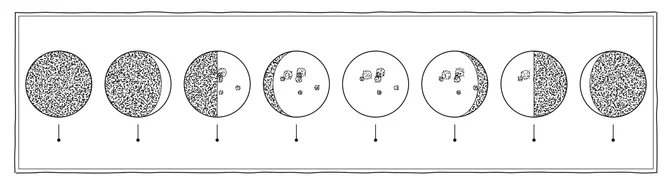 One synodic month drawn as eight lunar phases in sequence, from new moon through first quarter, full and last quarter, back to new. The Islamic calendar is lunar, which is why Ramadan moves through the solar year by about eleven days a year and why the length of the daily fast changes from one Ramadan to the next.